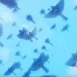 bldblu