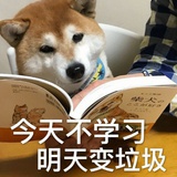 阳光与大海
