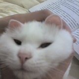 熊熊猫奴●额●