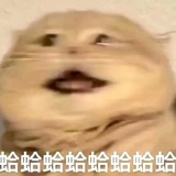 人民大大滴