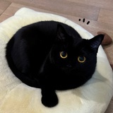 lIlIlIl
