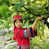 淘萄姑娘