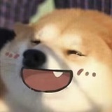豆友xaMj5PyxEE
