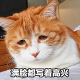 蝴蝶fi走了