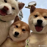 幸运