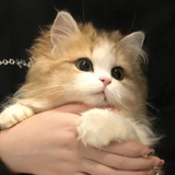 再睡亿分钟