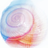 蜗蜗面膜