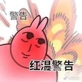 仓鼠仓仓