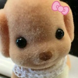 豆友1Rmub8FDPo