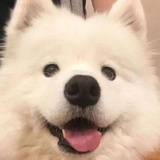 保持沉默