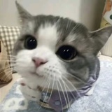豆友n1nDrRyD64