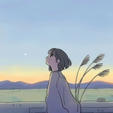 5琴