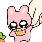帅气杨桃