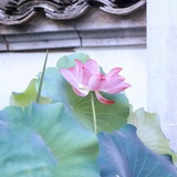 宁金葵路