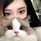 鱿鱼烩白贝