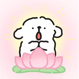 YY