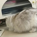 丢de拖鞋
