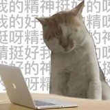我的精神挺好呀