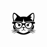 猫叔玩AE模板