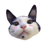 芥末在荒川