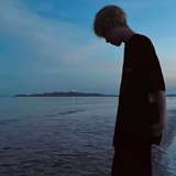 呆