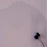 大樗