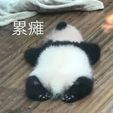 赶紧发窝囊费
