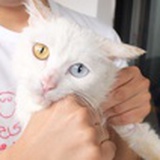 千户