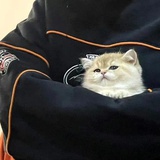 。