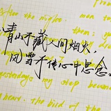 北藤