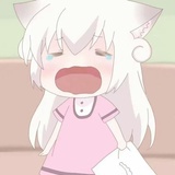 头顶莲花运到家
