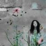 如菊