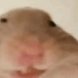 1个好菜
