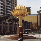 ysheng