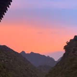 终南小树