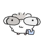YY
