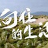 东北马家