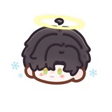 兔小小
