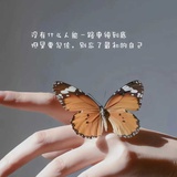 爱追剧的小王
