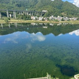 豆友8Pc2jjW2Ns