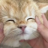 我会健康发财