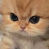 模糊