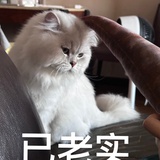 豆友il7aA9Iudg