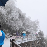 肯尼迪仕林