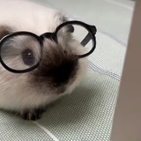 其实每次都一样