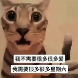 劳工4⃣在大雪