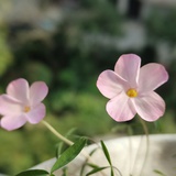 豆友6407602793
