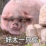 什么时候嘛