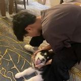 摸鱼生椰！