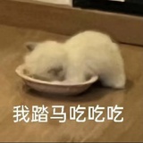一夜鱼龙舞
